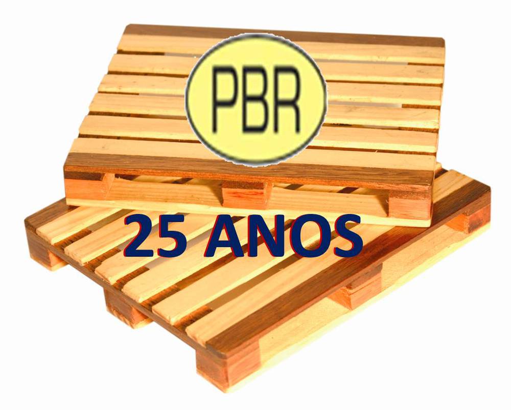 PBR 25 ANOS